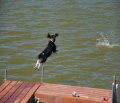 July4th2011 250